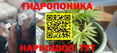 бошки Гатчина