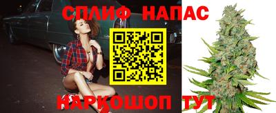 бошки Гатчина