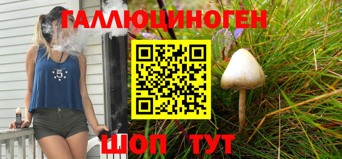Псилоцибиновые грибы Psilocybine cubensis  Вход с VPN  Нерюнгри  Галлюциногенные грибы ЛСД 